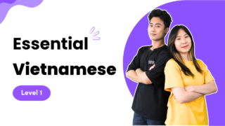 Essential Vietnamese Grammar Level 1